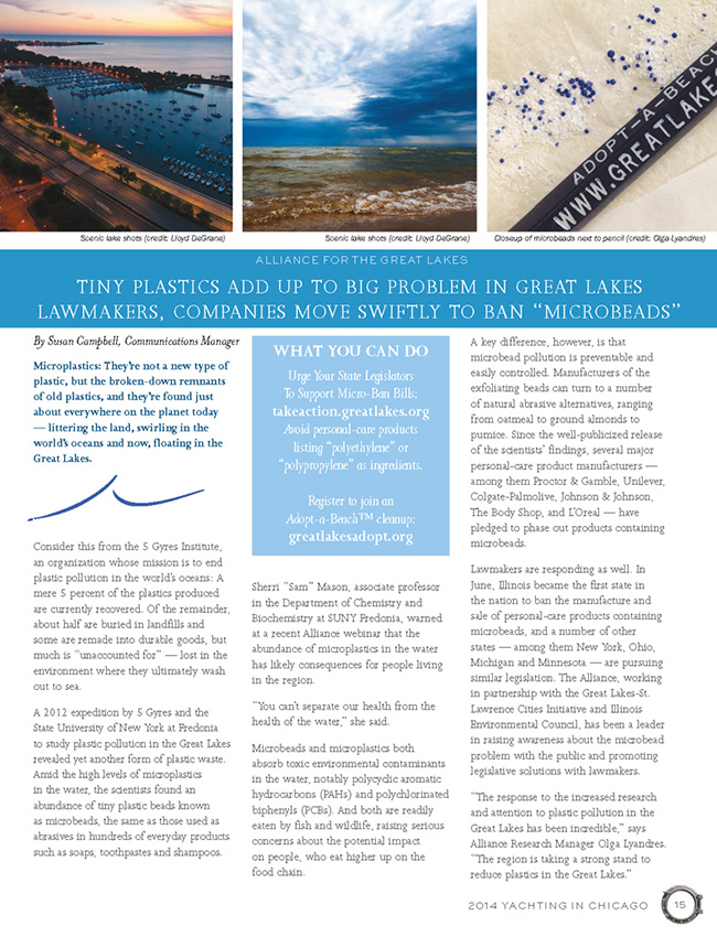 2014 YIC Magazine_Page_15